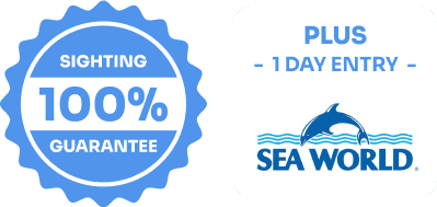 100% Whale Watch Sighting Guarantee + Sea World Entry