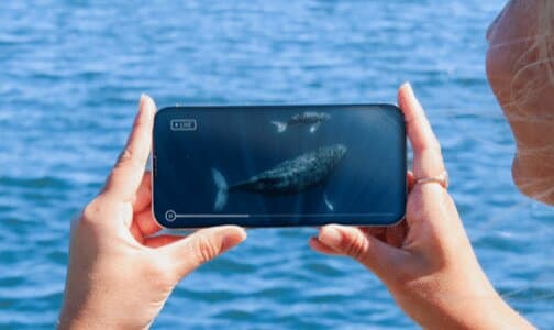 Live Underwater Mobile Viewing