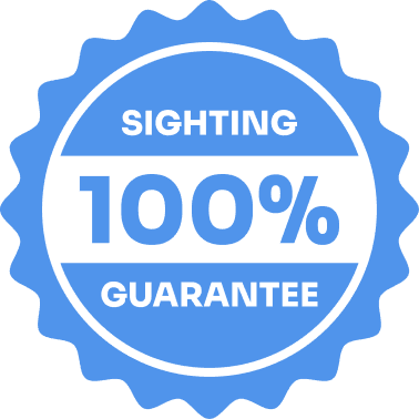 100% Whale Watch Sighting Guarantee
