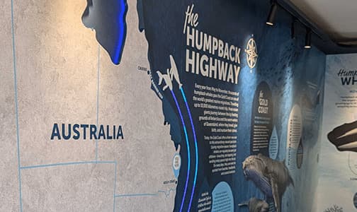 Interactive Whale Walkthrough