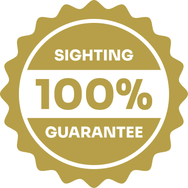 100% Whale Watch Sighting Guarantee