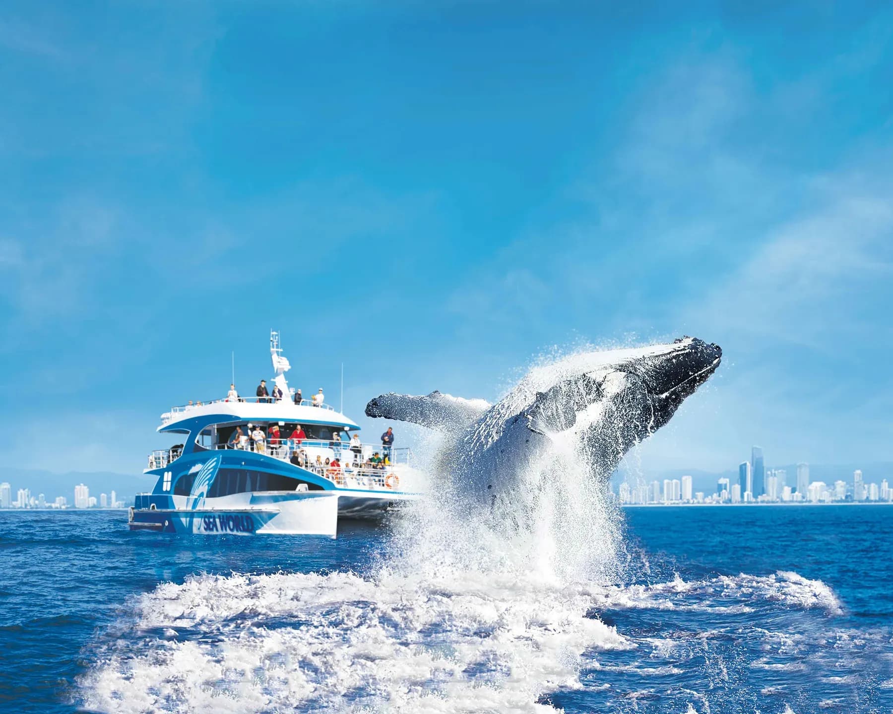 A breaching whale beside a cruise vessel, with the Gold Coast skyline in the distance