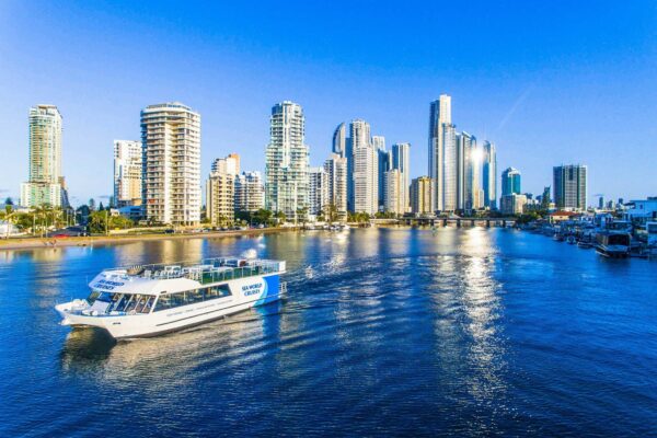 SWC_SD1_TTCCODELRLR SWC_SD1_TTCCODELRLR