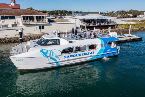 TTC07204_SCALED TTC07204_SCALED