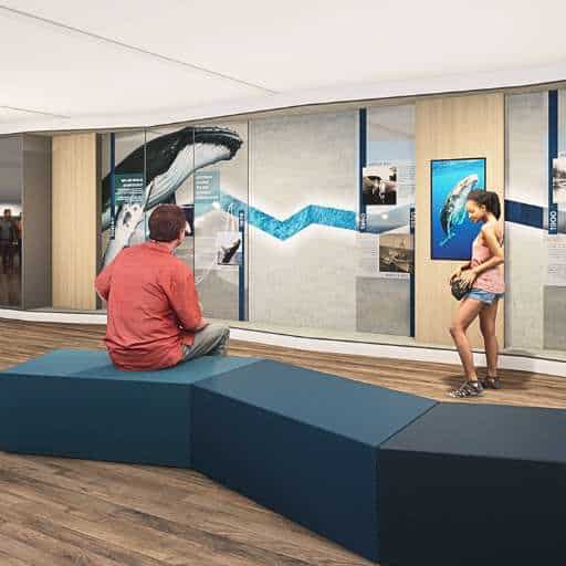 Interactive whale information wall