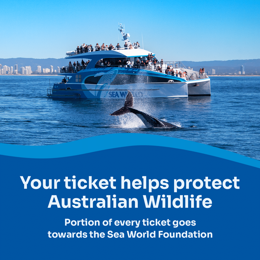 SWWW SW Foundation 1x1 1