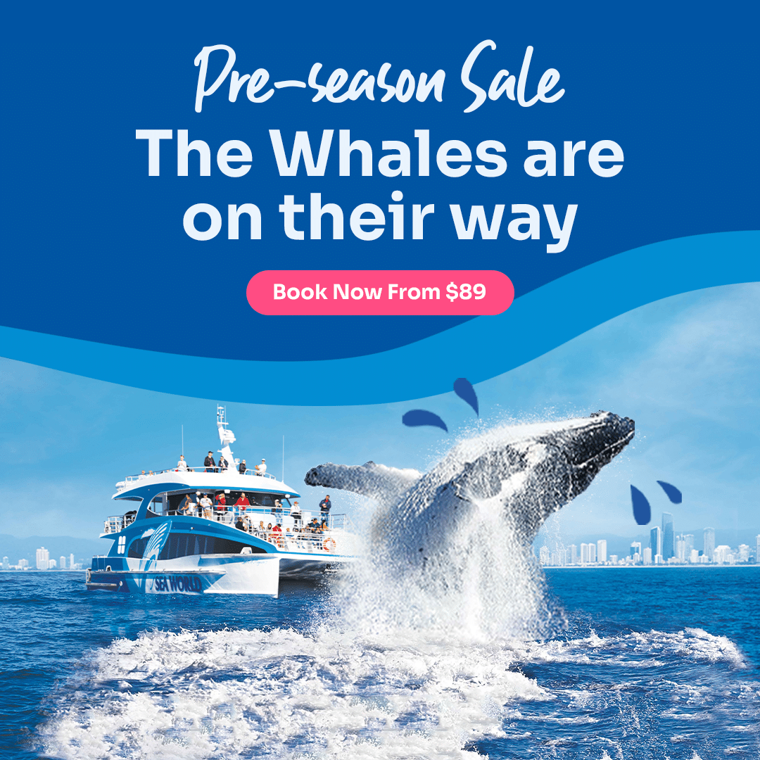 SWWW Banner 1x1 April2026